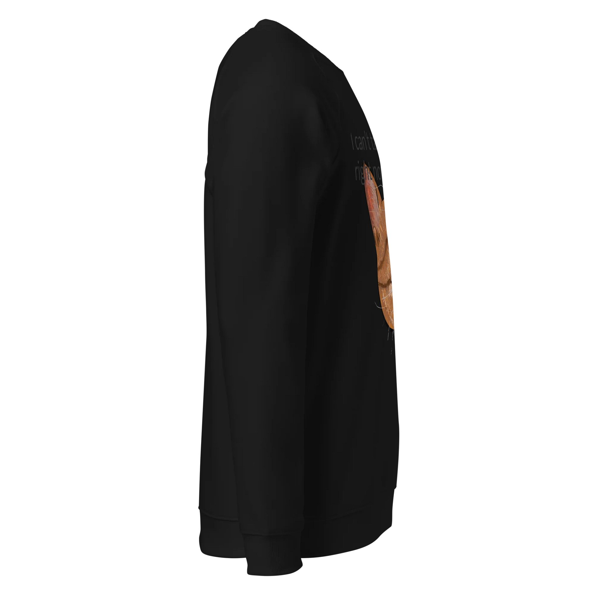 Orangey Knows Raglan Sweatshirt product image (4)