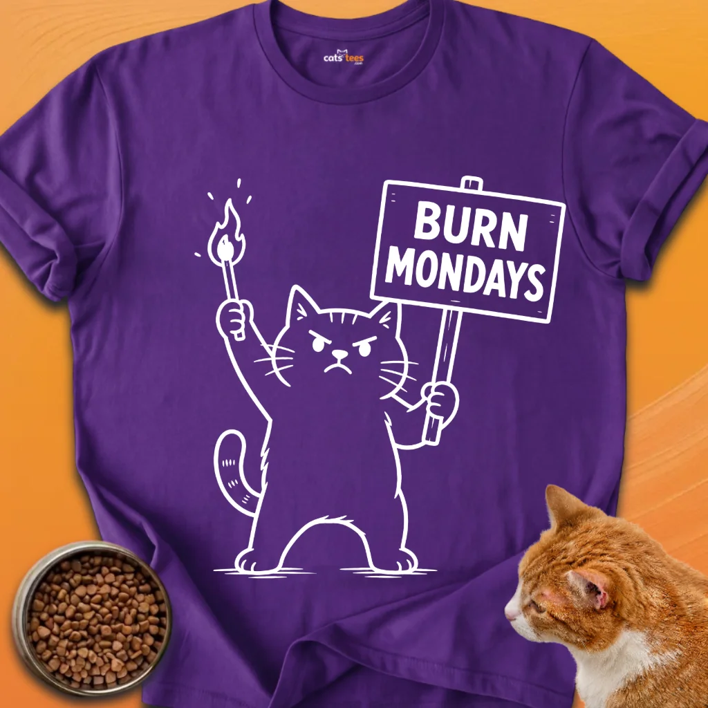 Burn Mondays! product image (11)