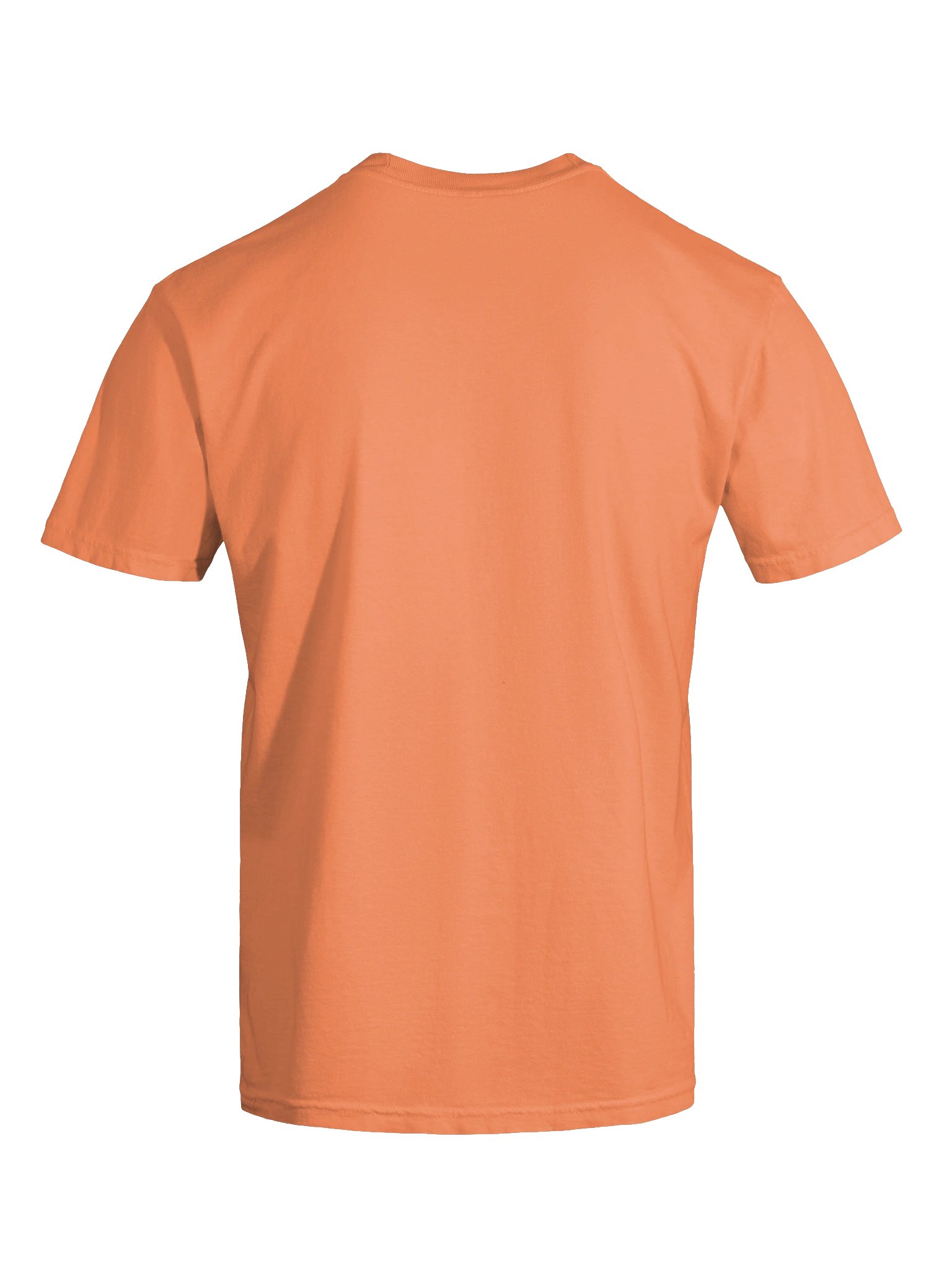 Halloween Miniature Schnauzer(Salt & Pepper) Embroidered T-Shirt product image (31)