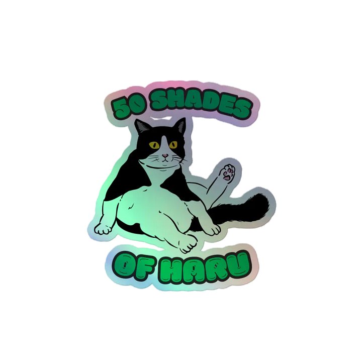 Haru's Holo Cat Sticker Set product image (2)