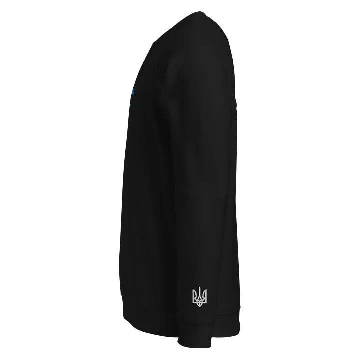 Neskorena & Vilna -Signature Embroidered, Raglan Sleeve Sweatshirt product image (2)