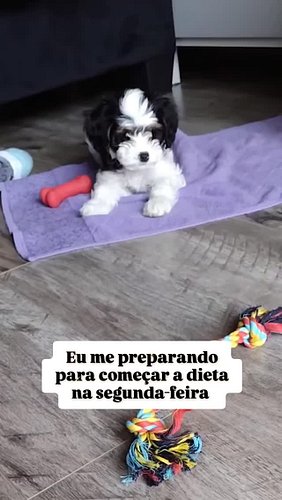 Que susto... Achei que ia mesmo! 😅