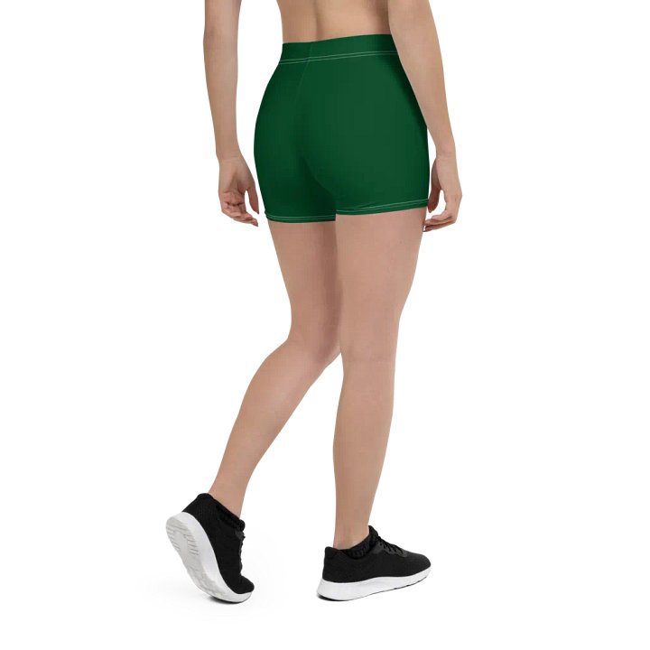 DBJ FGSH (001) product image (2)