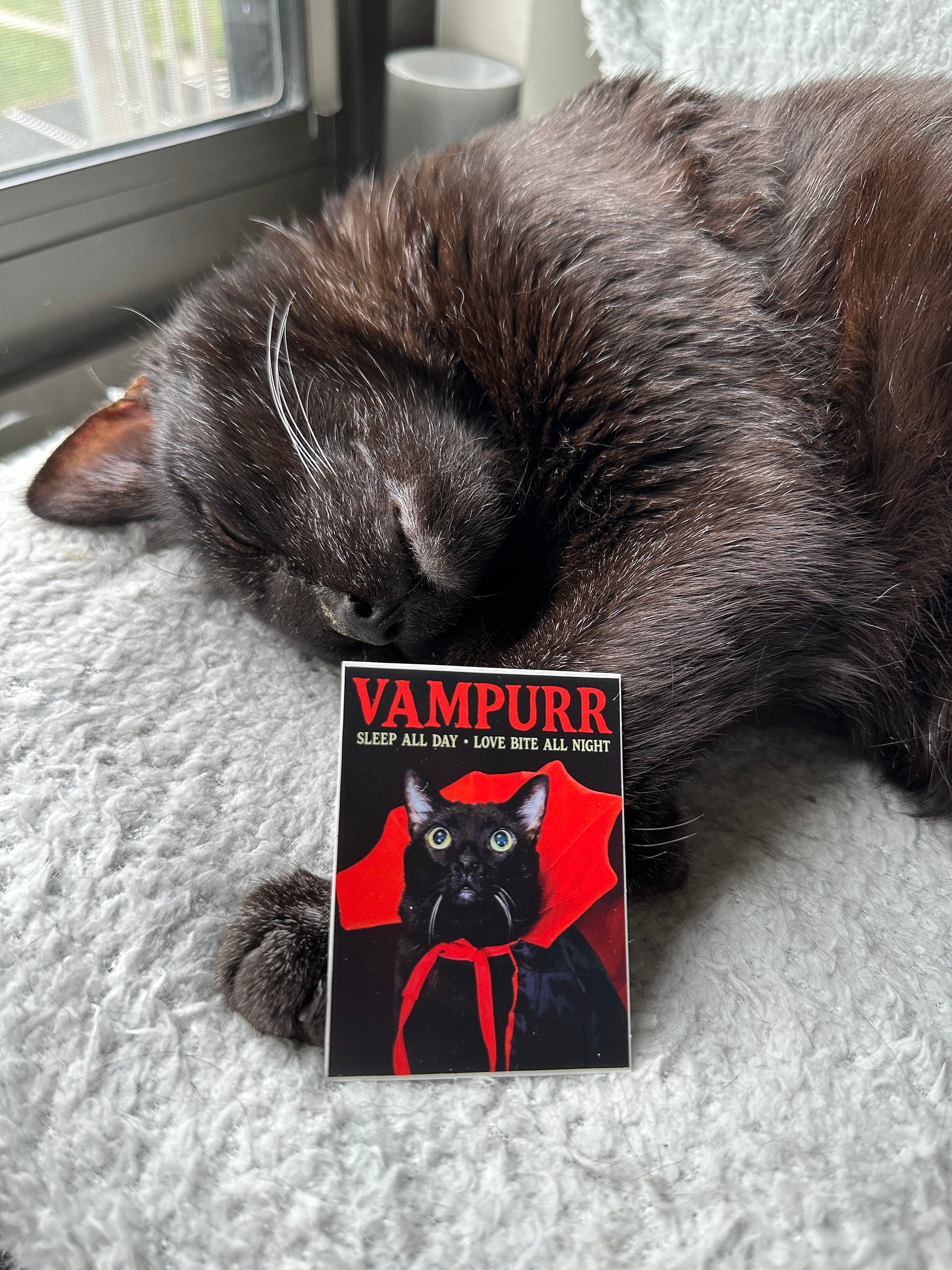Vampurr sticker product image (2)