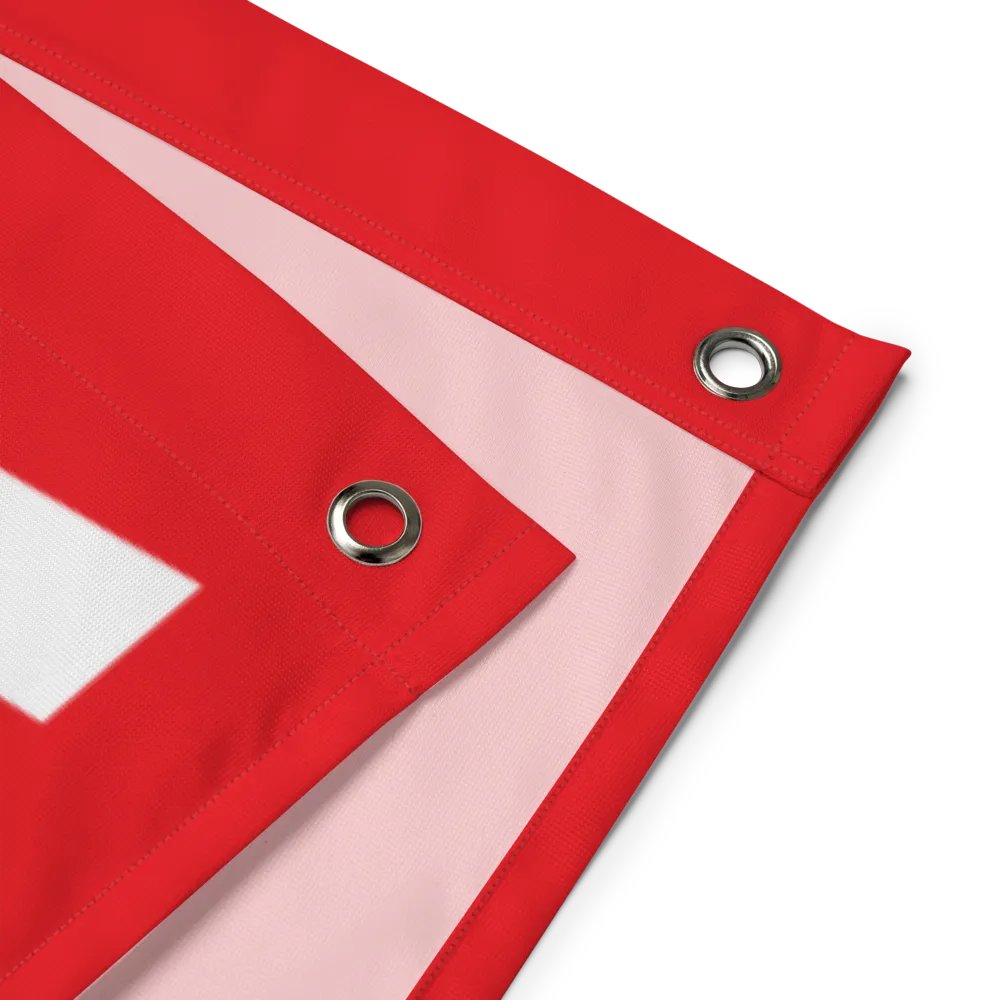 we do this not because it is easy flag product image (6)
