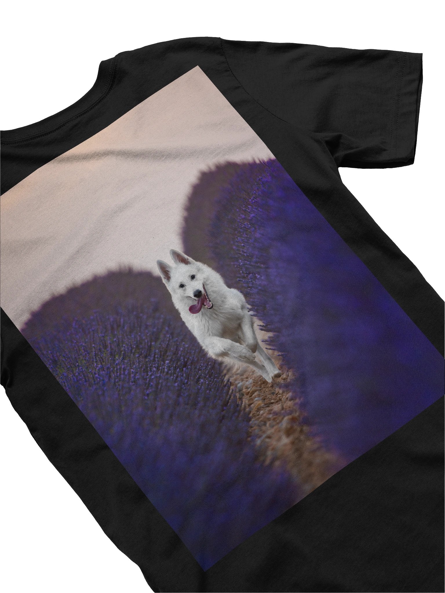 Rasta in the lavender fields product image (18)