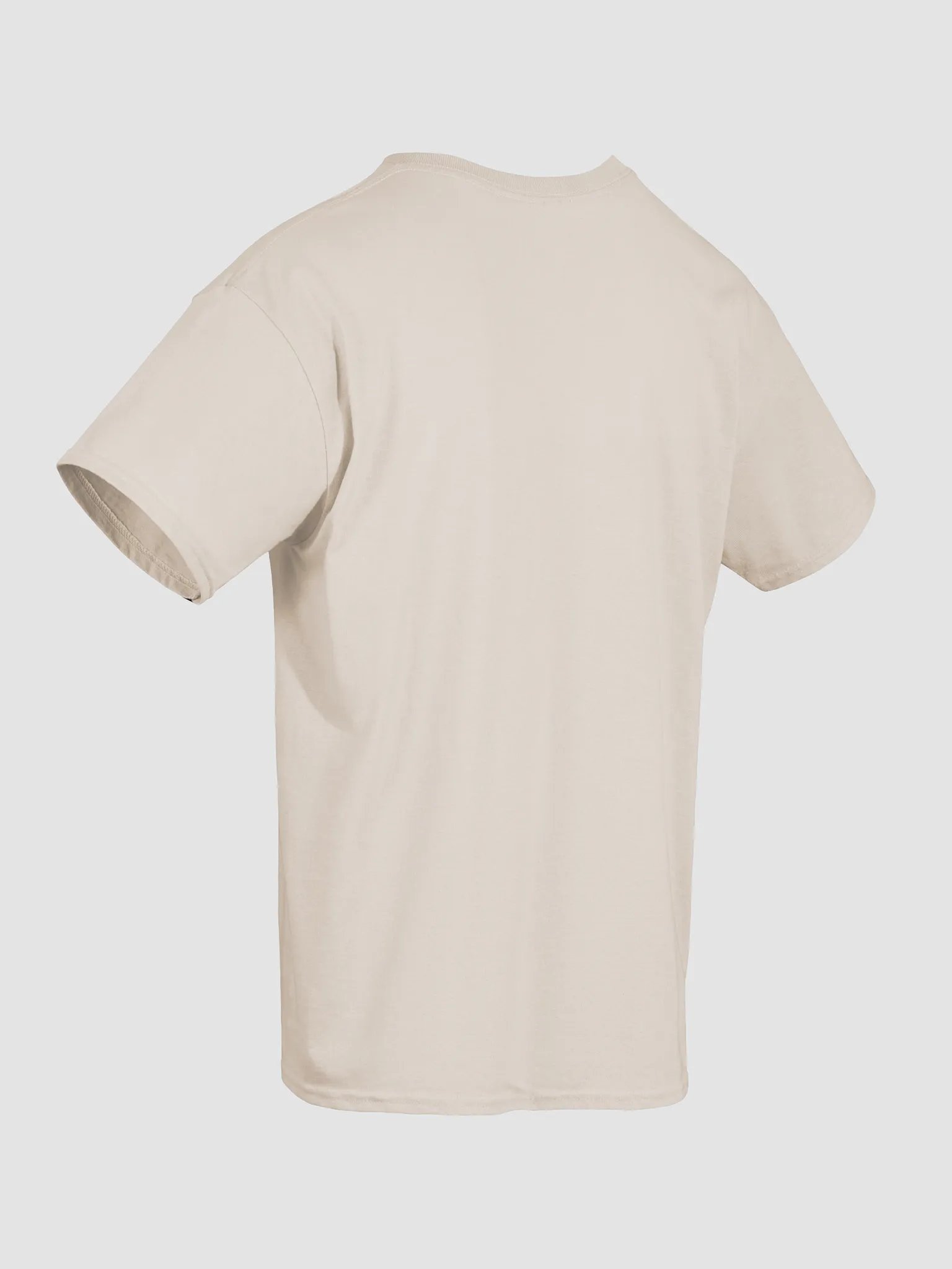 Born to Jest, Forced to Joust T-shirt product image (62)