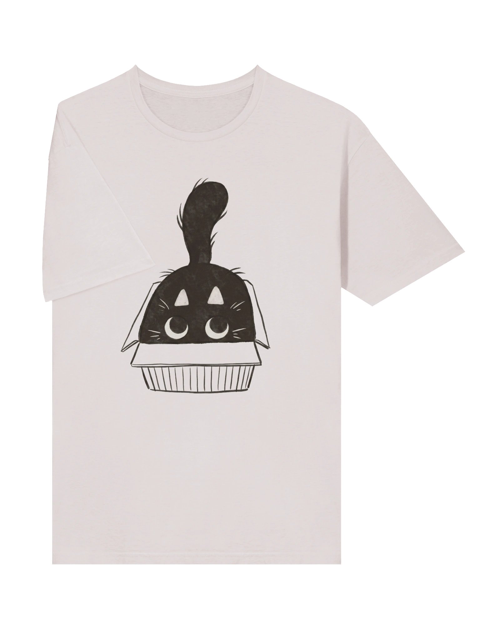 Cat In Box T-Shirt product image (28)