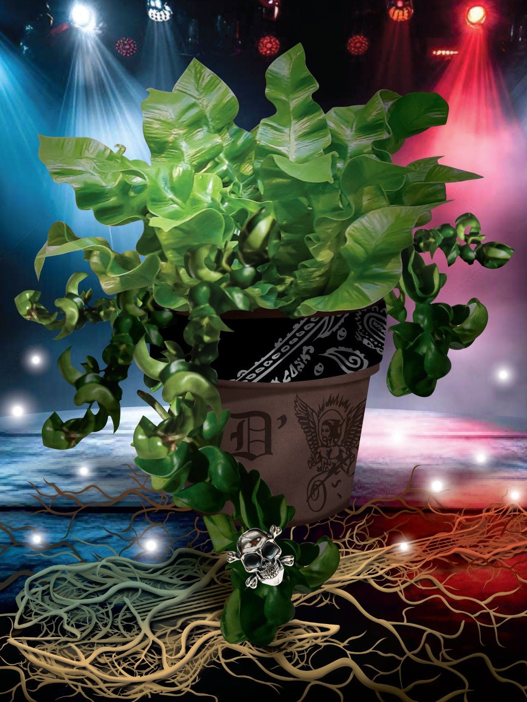 The Archangel’s Groove: A Legend Cipher product image (2)