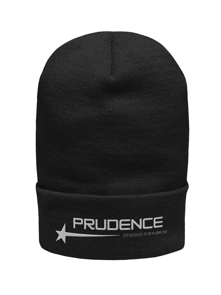 Retro Logo Embroidered Beanie product image (3)