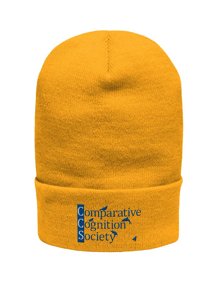 CCS Toque (Style #1) product image (1)