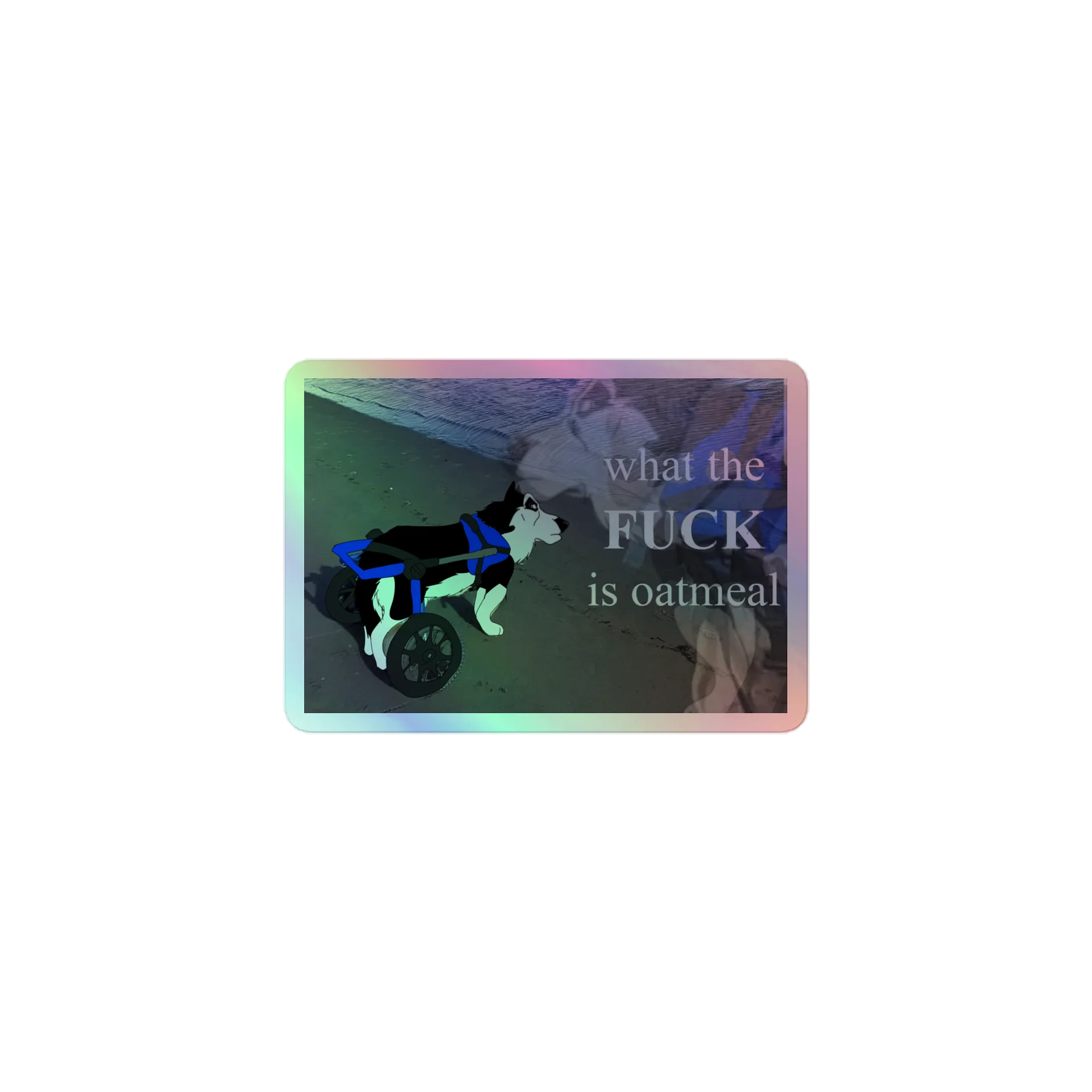 what the FUCK is oatmeal (holographic) product image (1)