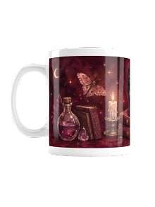 Le Chat de la Sorcière