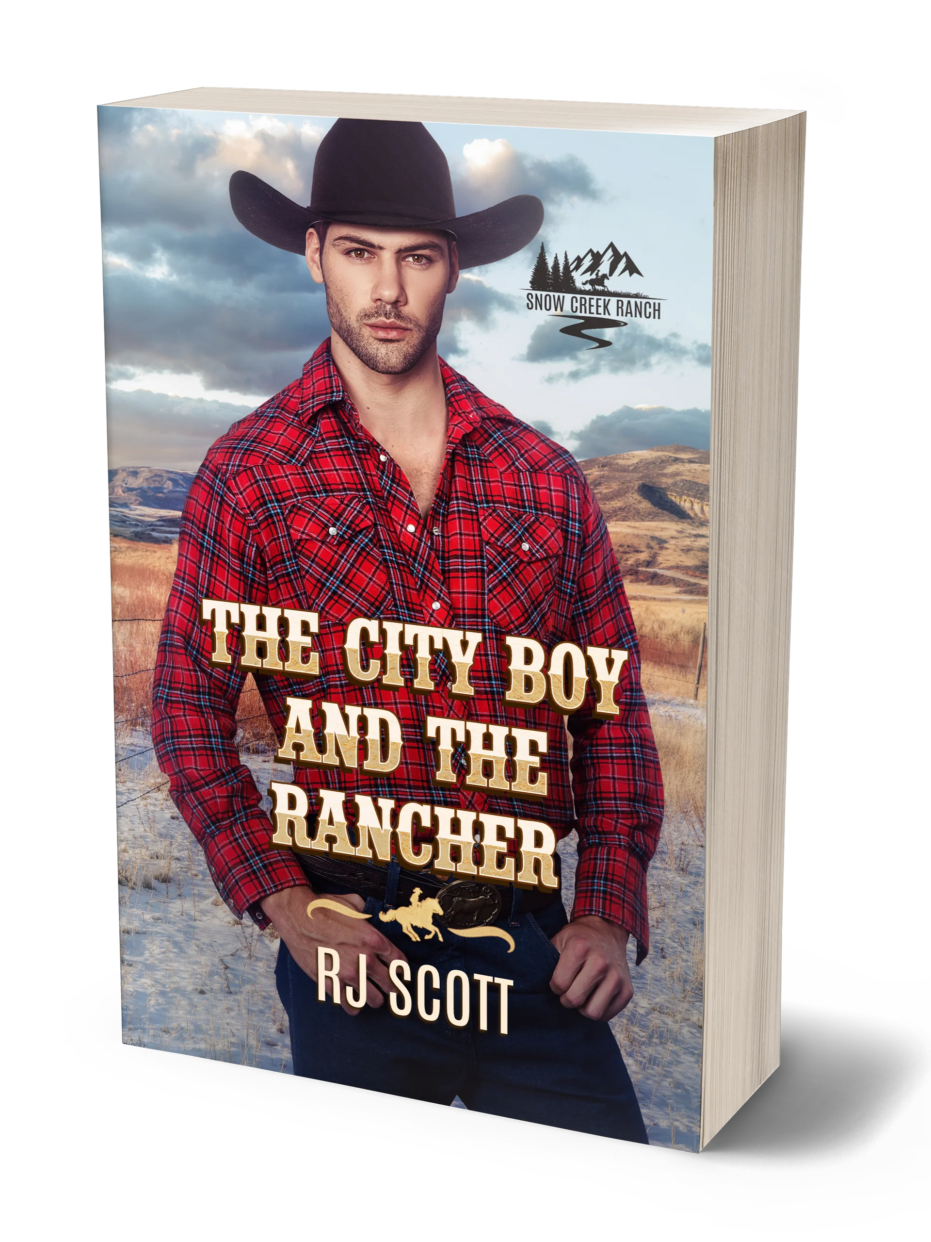 The City Boy and the Rancher product image (1)