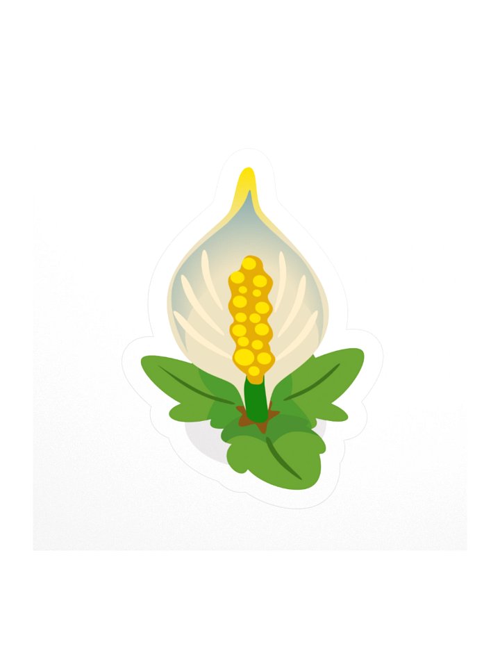 Lily product image (1)
