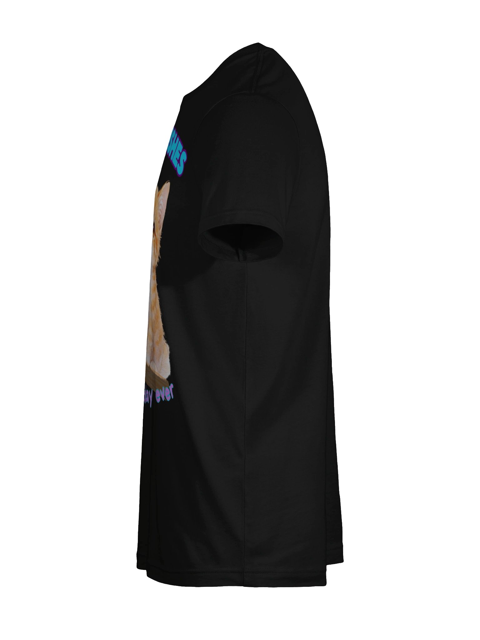 Kittie Wishes Supersoft Tee product image (9)