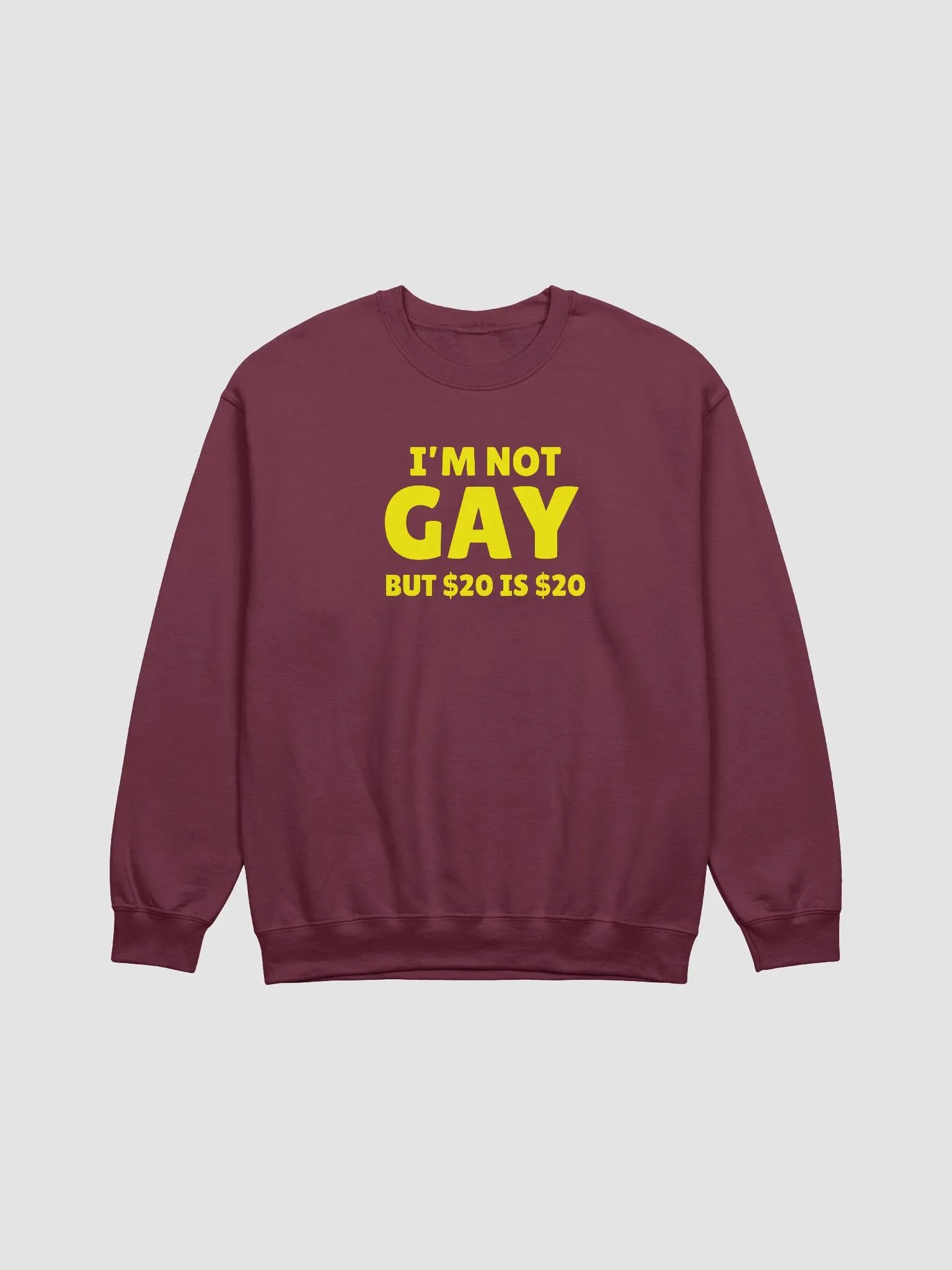 Not Gay But $20 is $20 Front Print Unisex Sweatshirt product image (1)