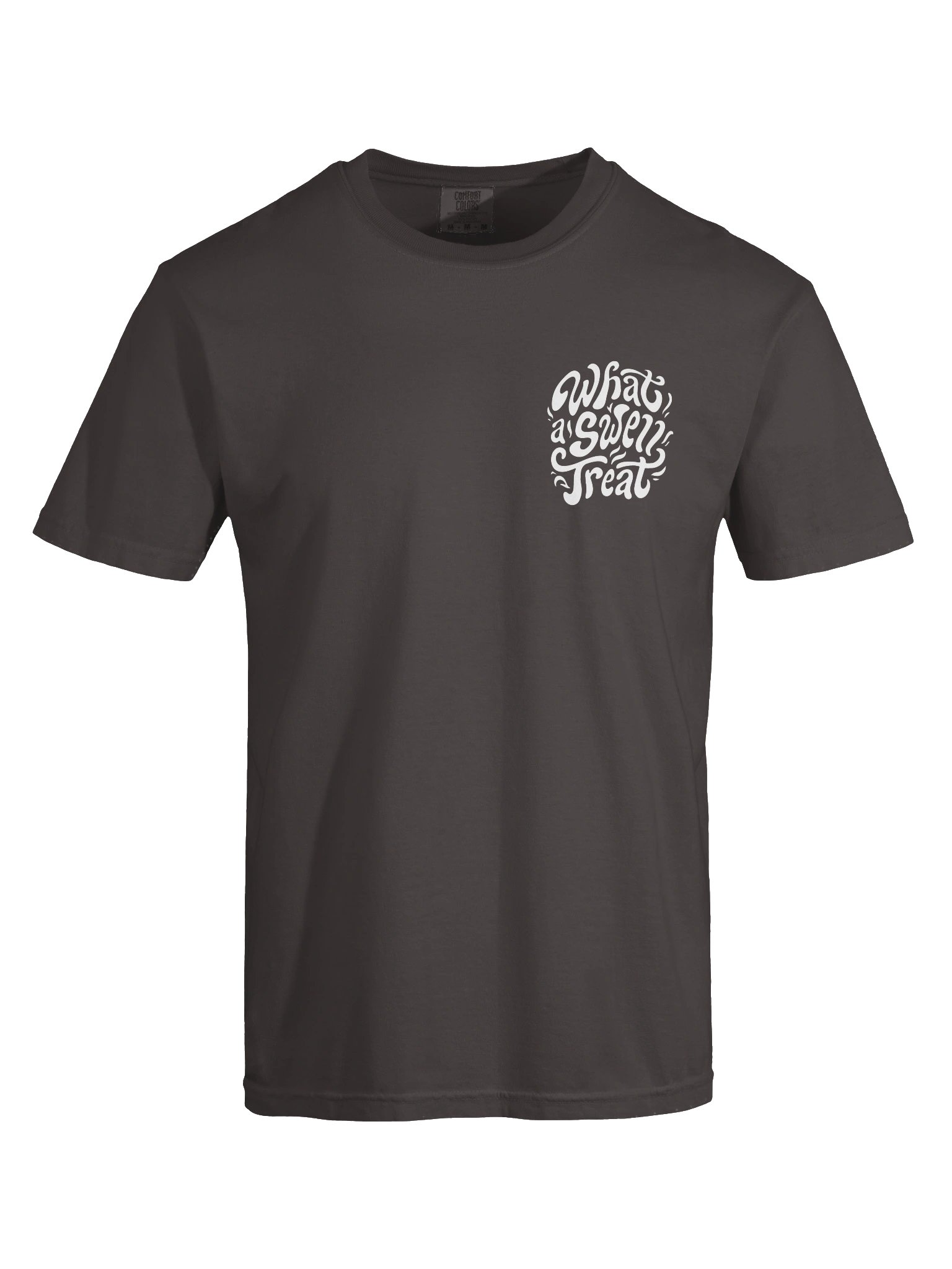 WAST Logo Shirt - Heavyweight product image (5)