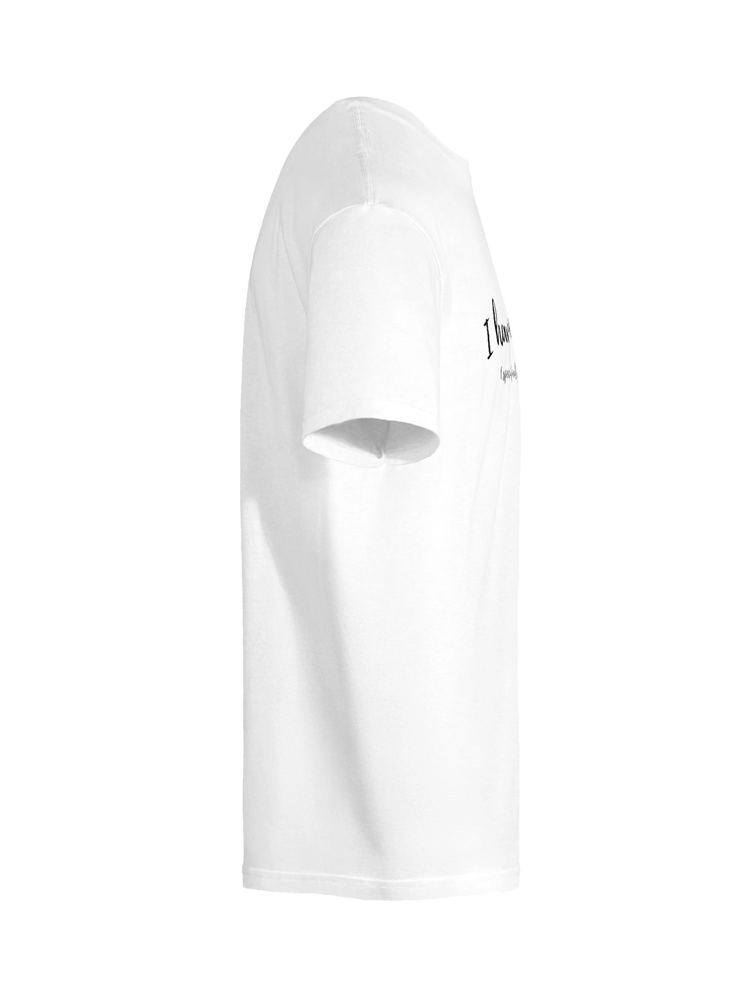 PSR Standards Unisex T-Shirt (Light Mode) product image (12)