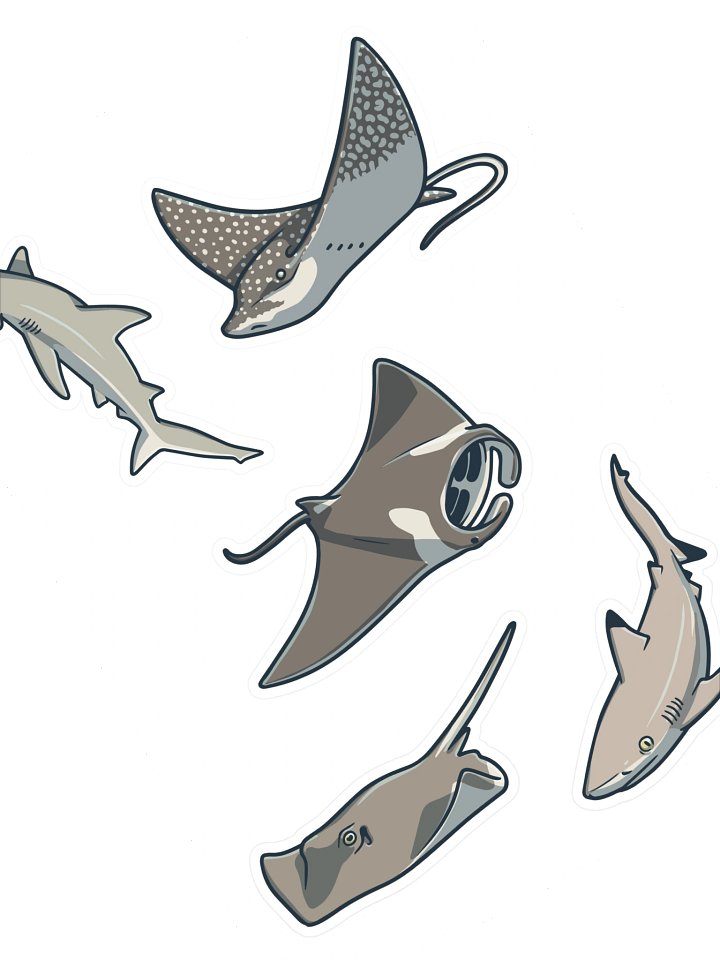 A Shiver of Sharks (and Rays) - Sticker Sheet #3 product image (2)