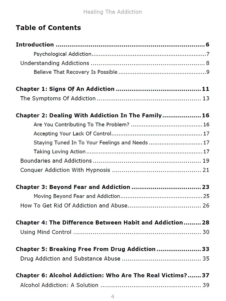 Healing The Addiction eBook product image (2)