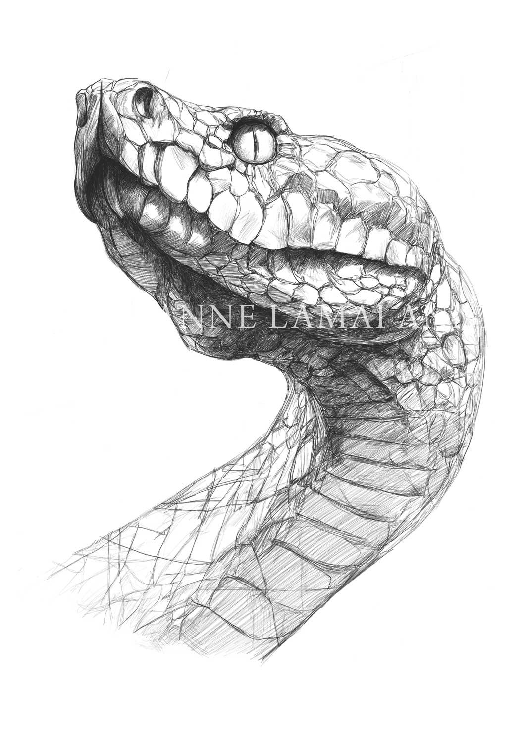 Serpent | The Heart of Shadow Art Print product image (1)