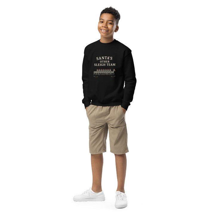 The Other Sleigh Team Sweatshirt - Kids product image (1)