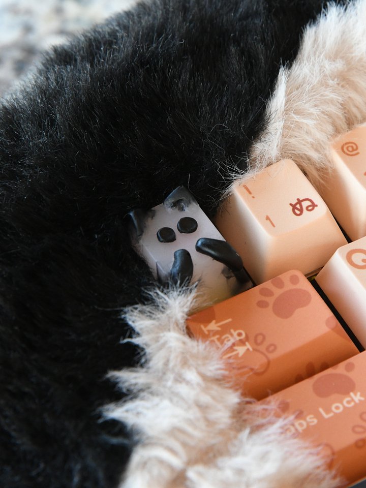 Spoopy Kitty Keycaps product image (1)