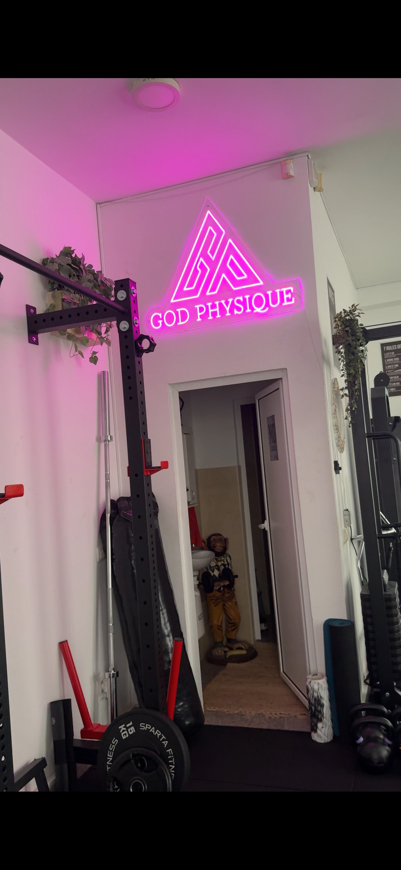GOD PHYSIQUE CAPSULE prostor za trening 9