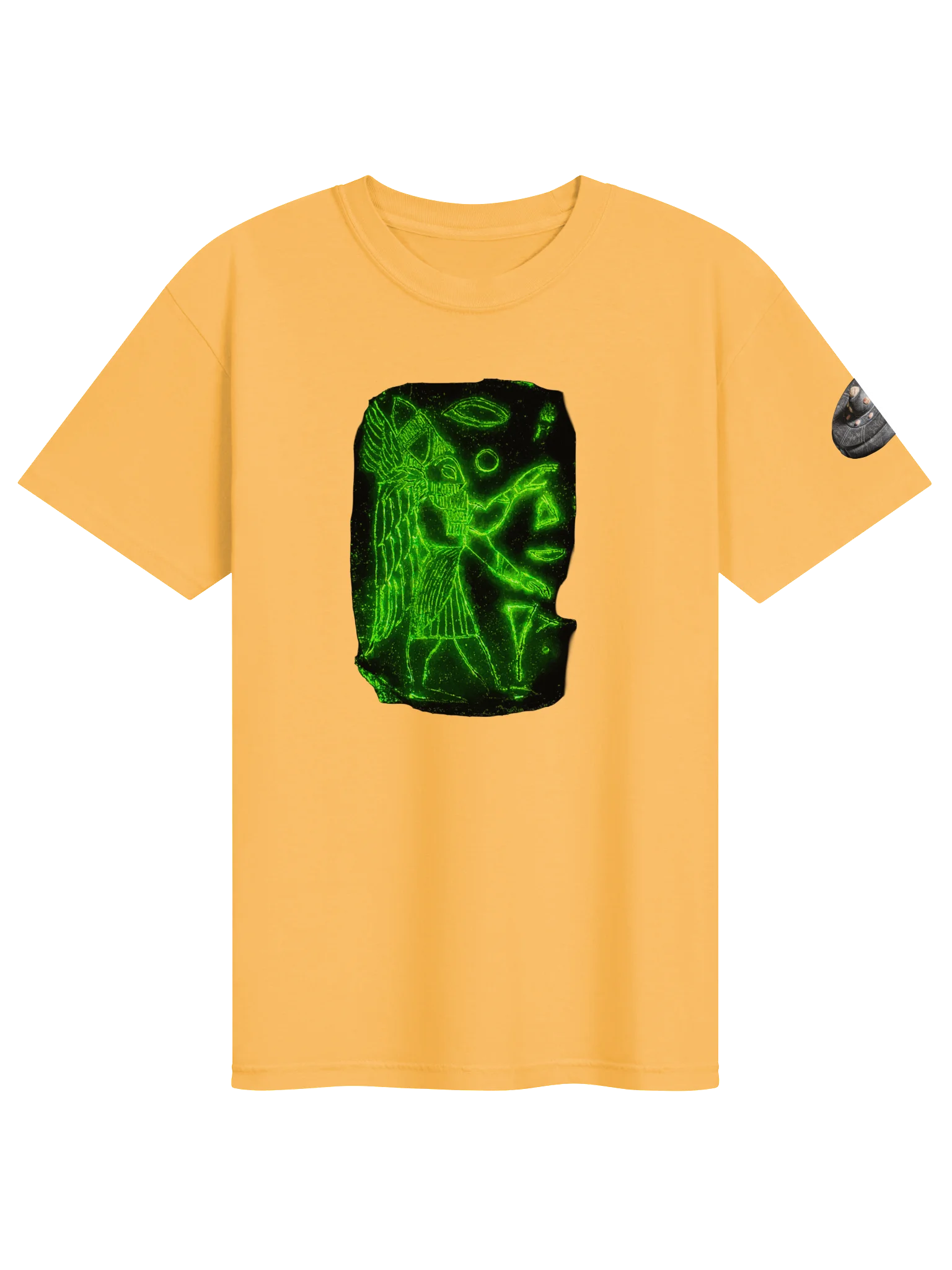 Project Disclosure Premium T-Shirt product image (1)