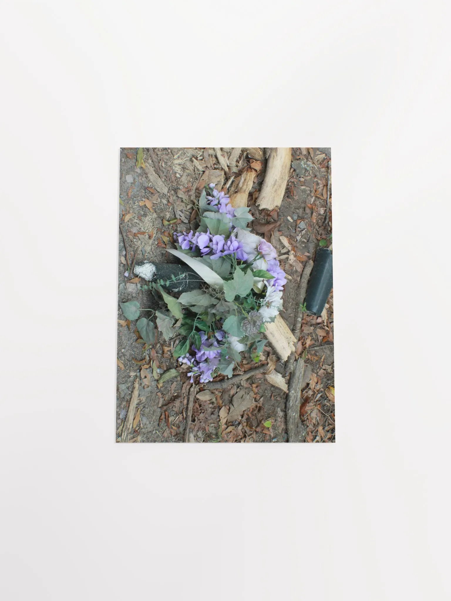 The Cockroach Named Hope product image (42)