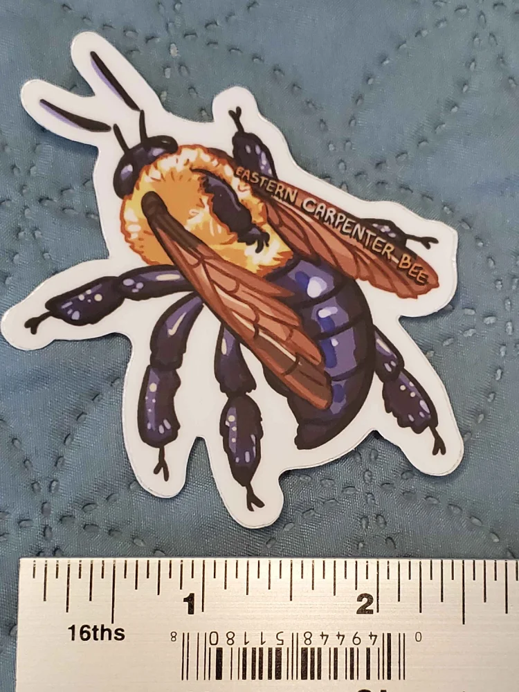 Eastern Carpenter Bee Sticker product image (2)