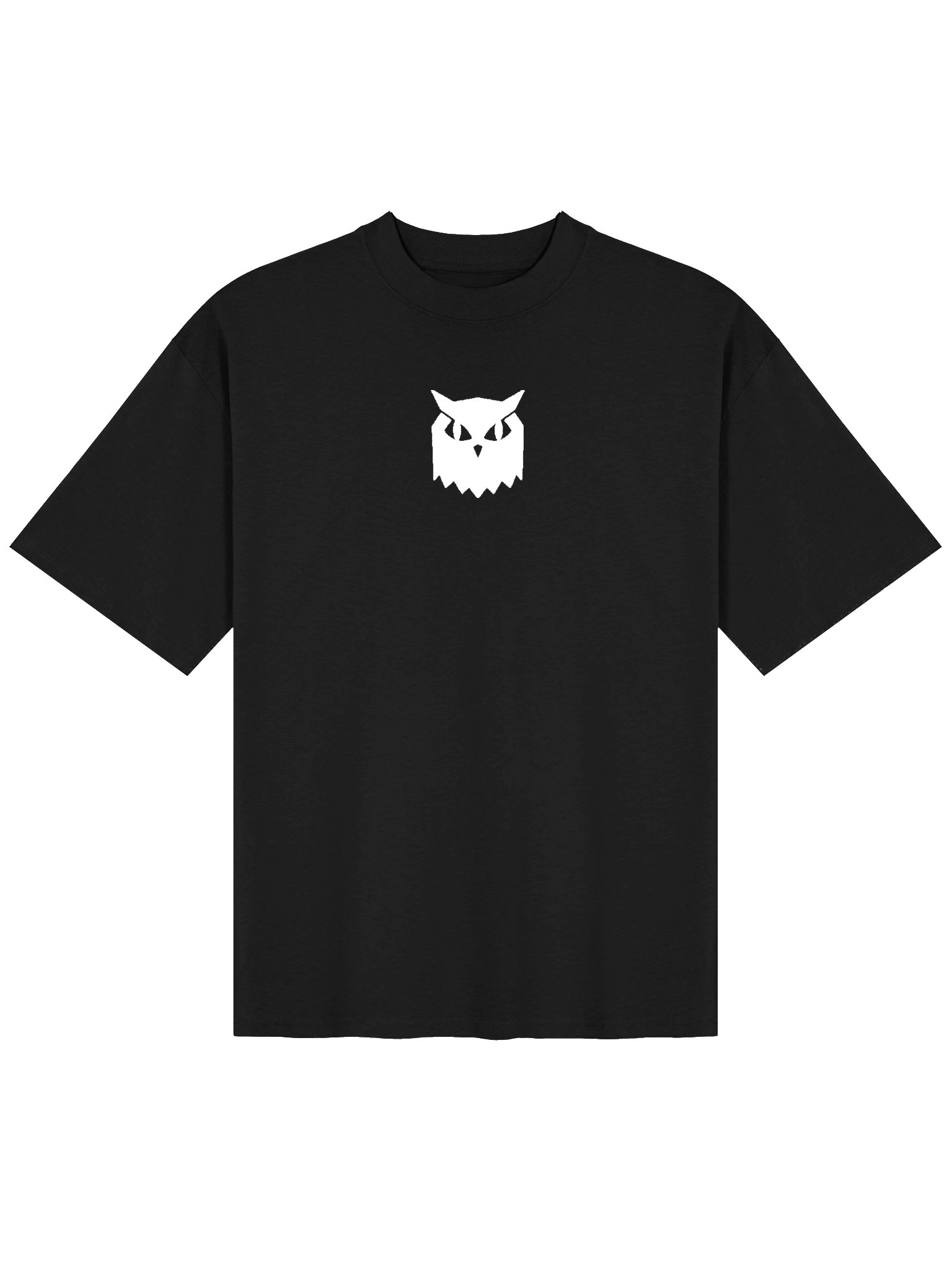 OVERSIZED T-SHIRT product image (2)