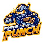 PowerPunchPlays