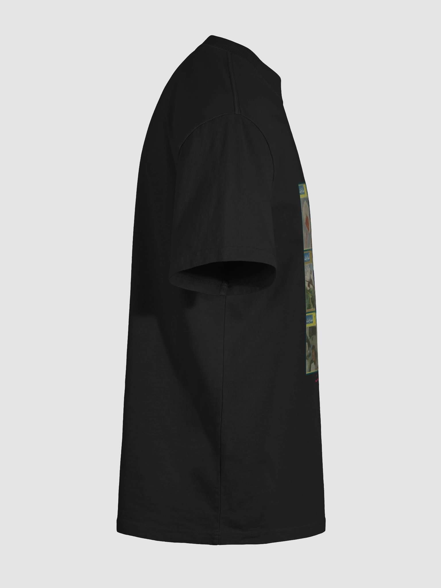 Aseman E Iran product image (11)