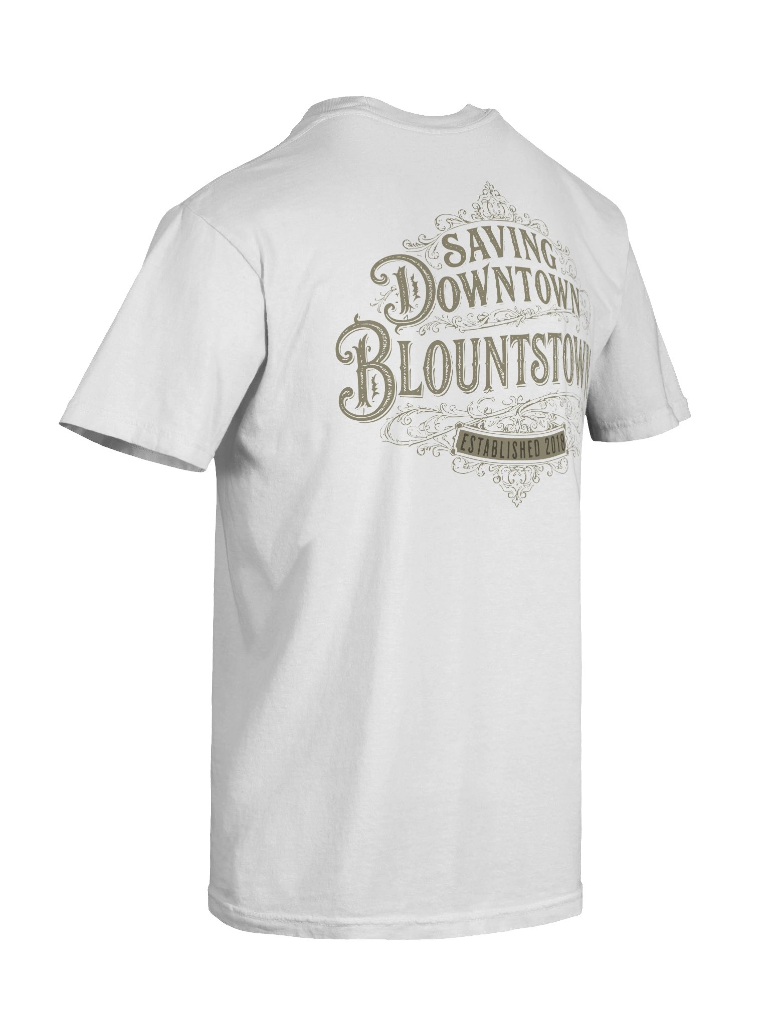 Saving Downtown Blountstown Comfort Colors Tee product image (20)