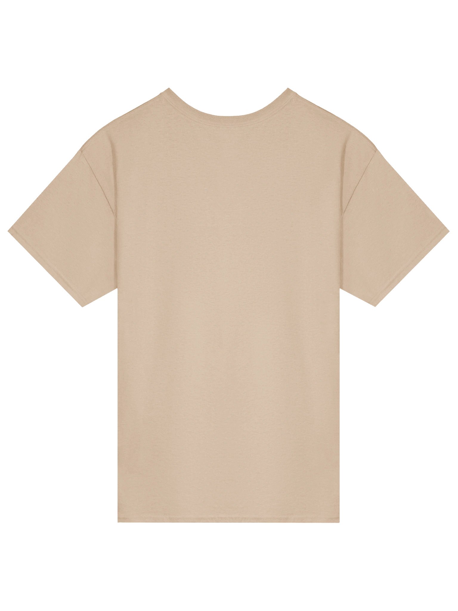 Gateway to the Rockies T-Shirt Colorway 1 product image (2)