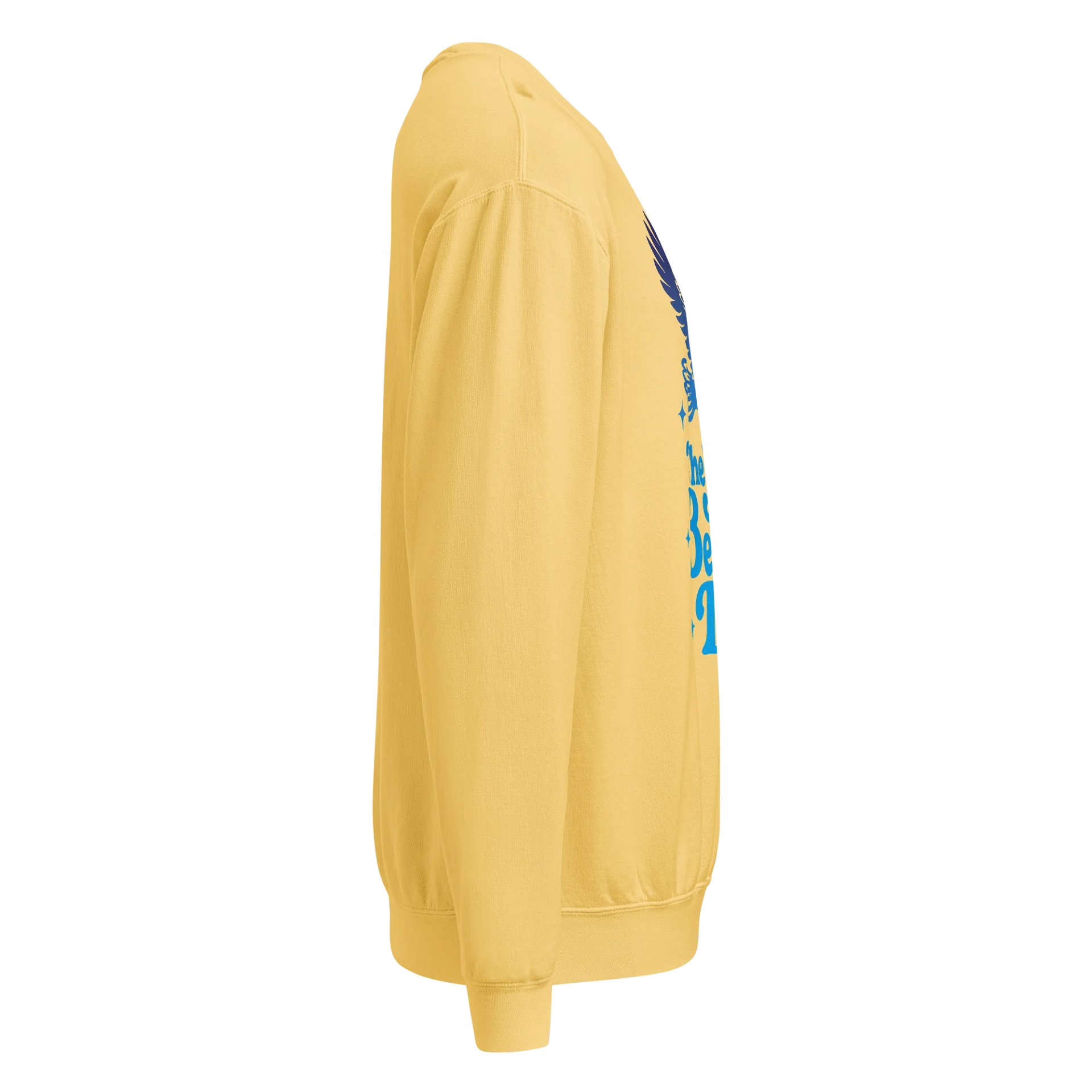 Soaring Big Beautiful Day Crewneck product image (6)