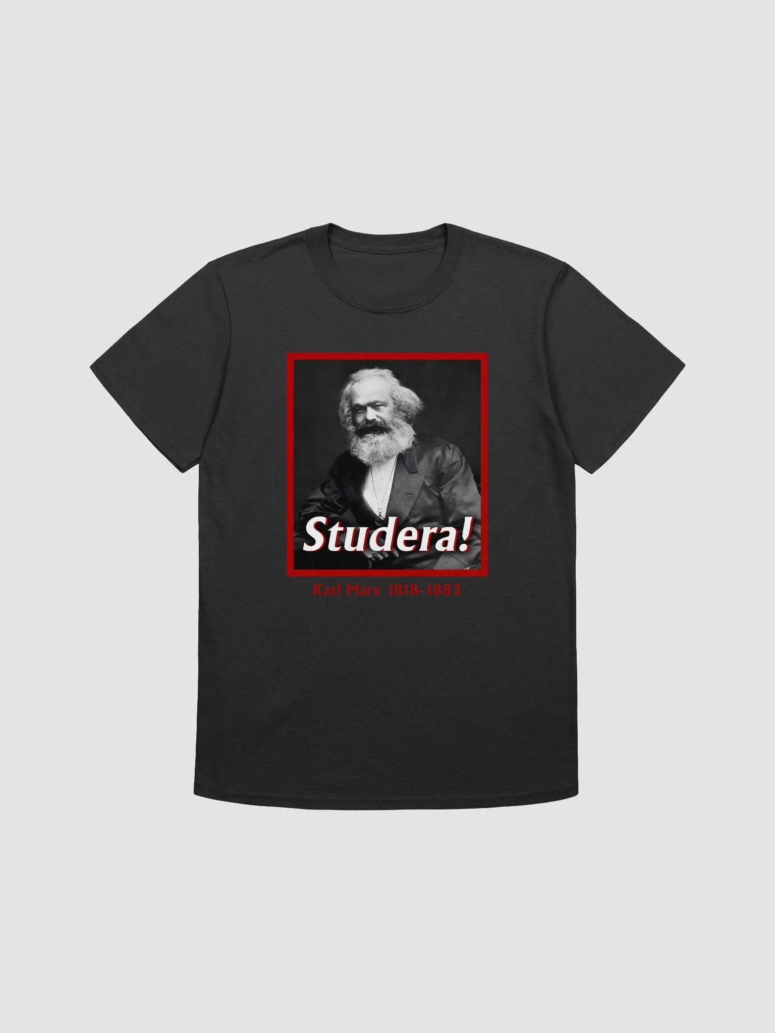 Karl Marx - Studera! product image (2)