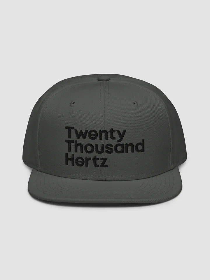 20K Flat Brim Cap product image (2)