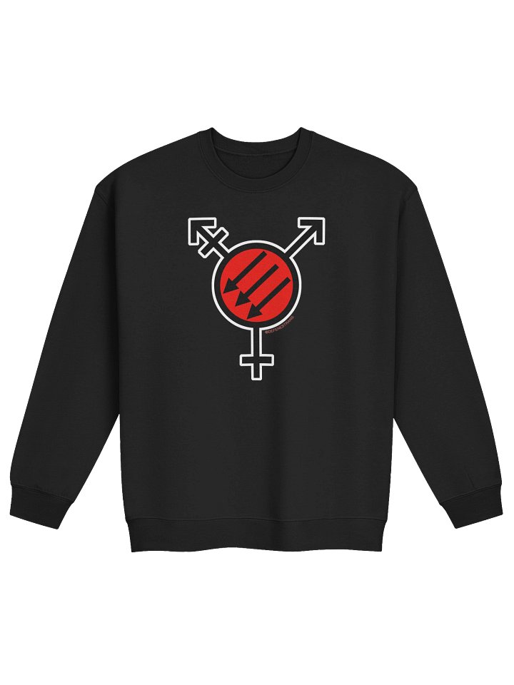 Transtifa Sweatshirt product image (2)