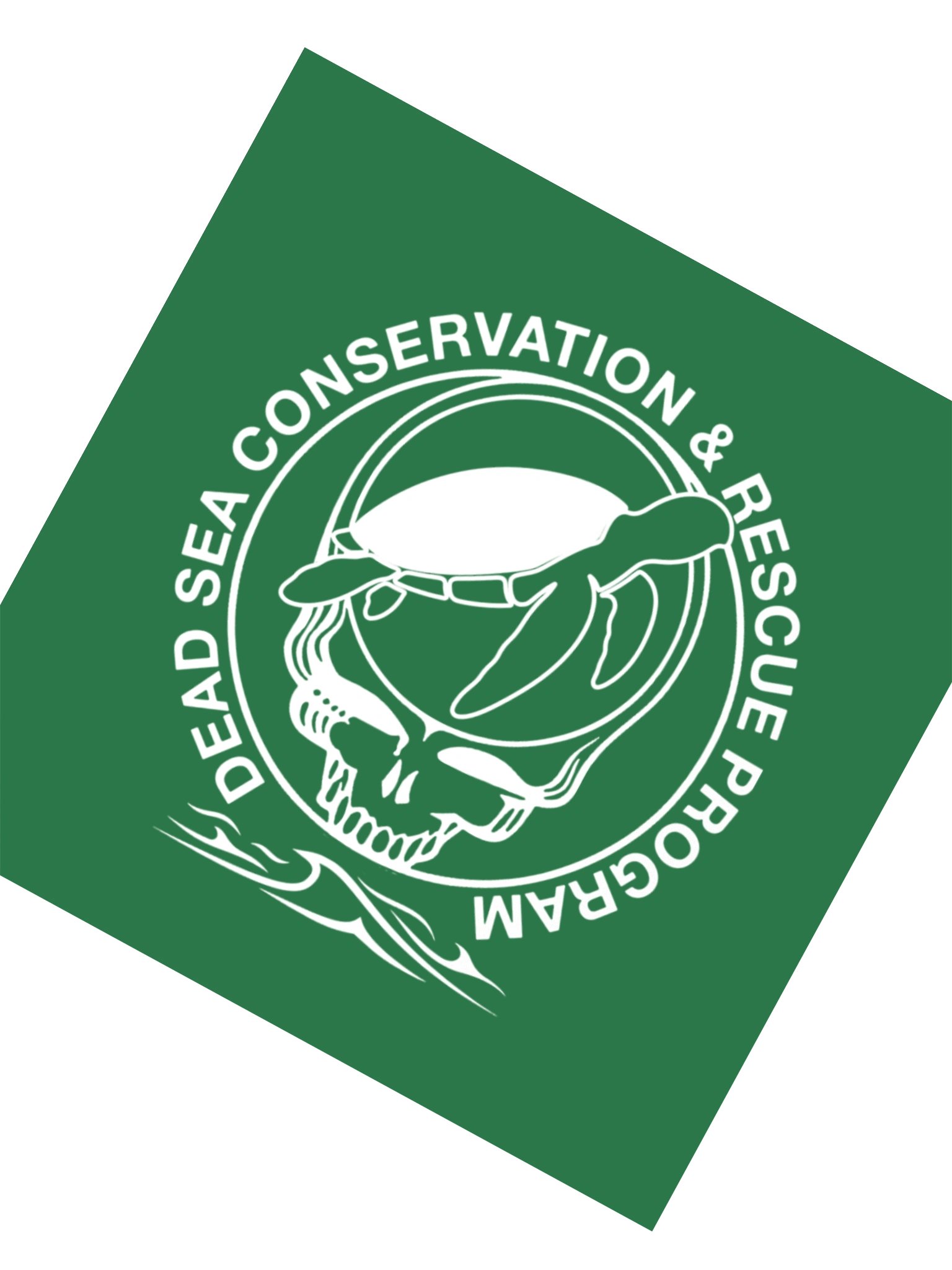 TURTLE CONSERVATION STICKER product image (2)