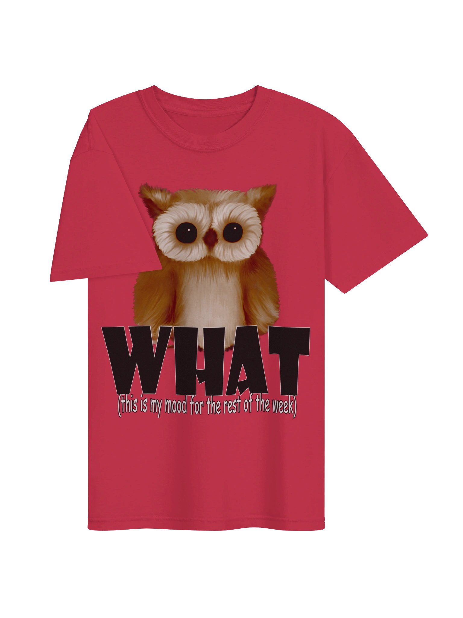Owl "WHAT" T-Shirt. Men's Comfort Colors Garment-Dyed Heavyweight T-Shirt product image (2)