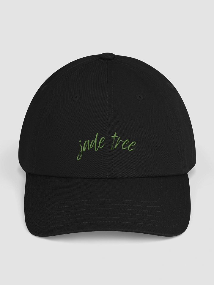 Under Armour® Dad Hat With Embroidered Logo product image (1)