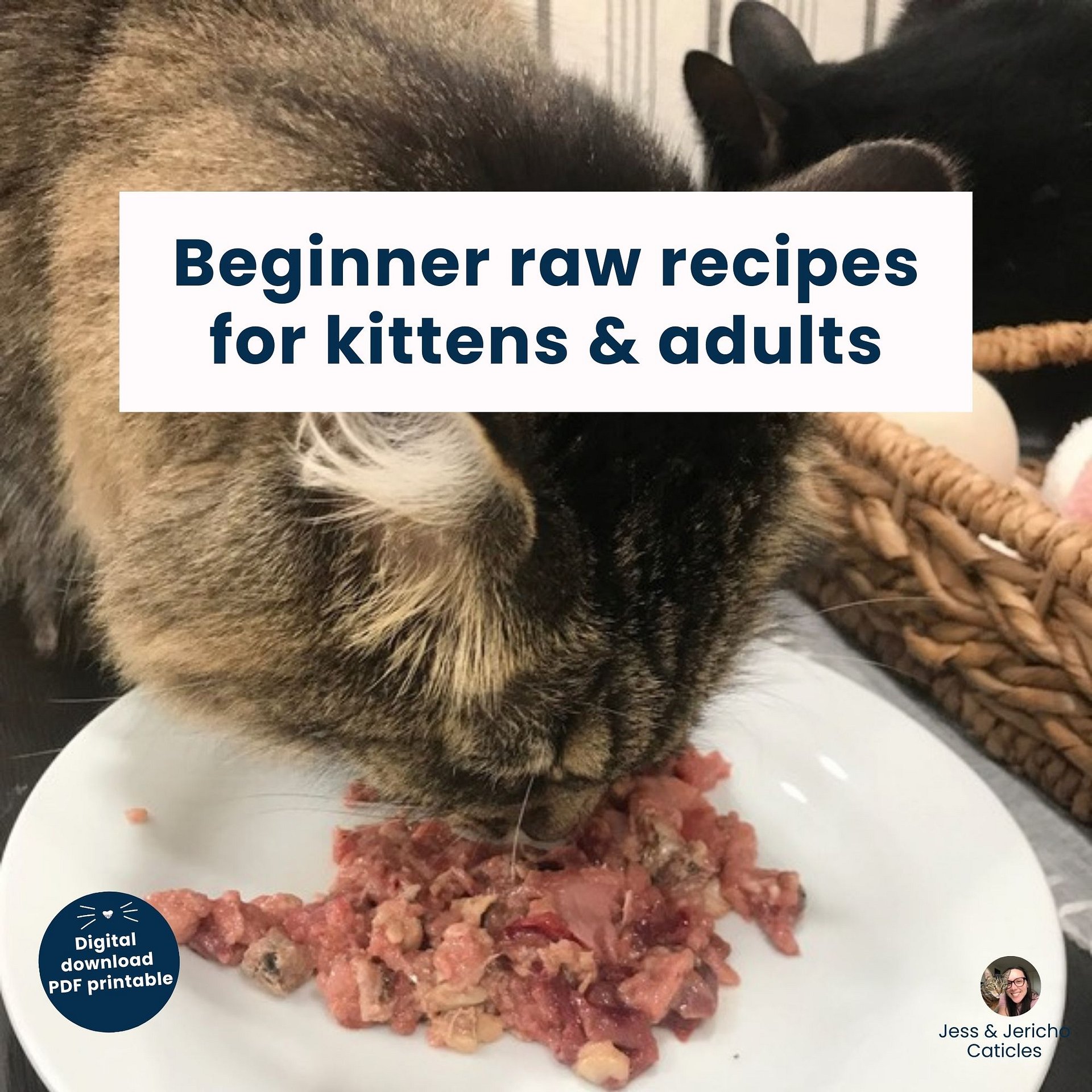 13 beginner raw cat food recipes for kittens & adults PDF download product image (1)