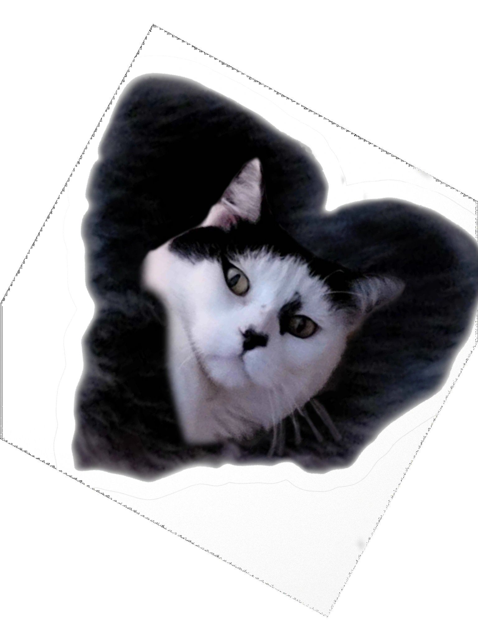 howlin42CATLUV Sticker product image (5)