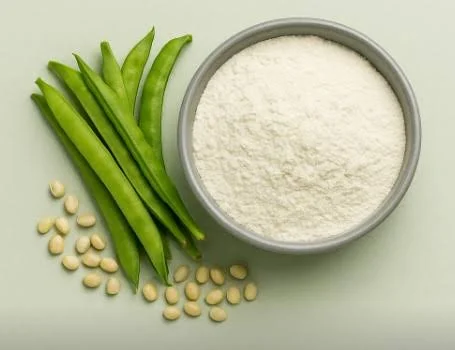 Armenian Guar Gum Powder product image (1)