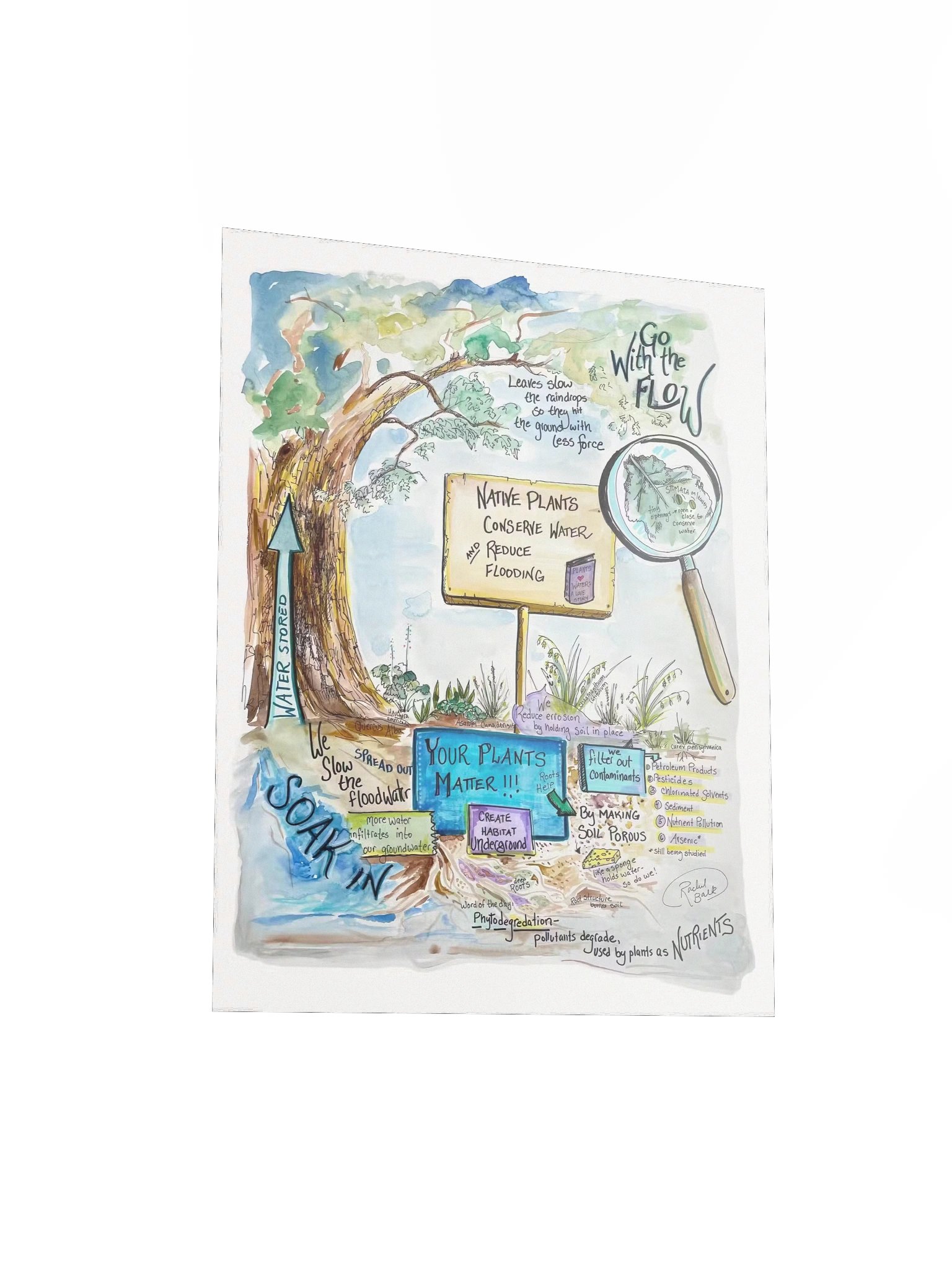 "Go With the Flow" (Poster) product image (3)