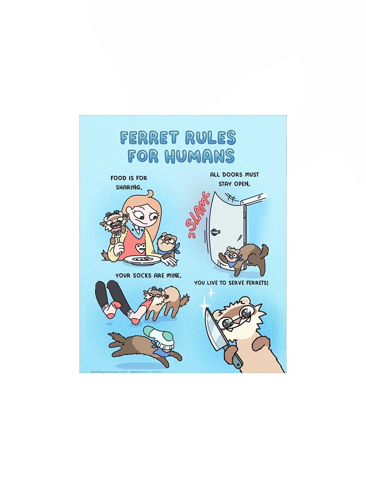 Ferret Rules for Humans | Poster product image (1)