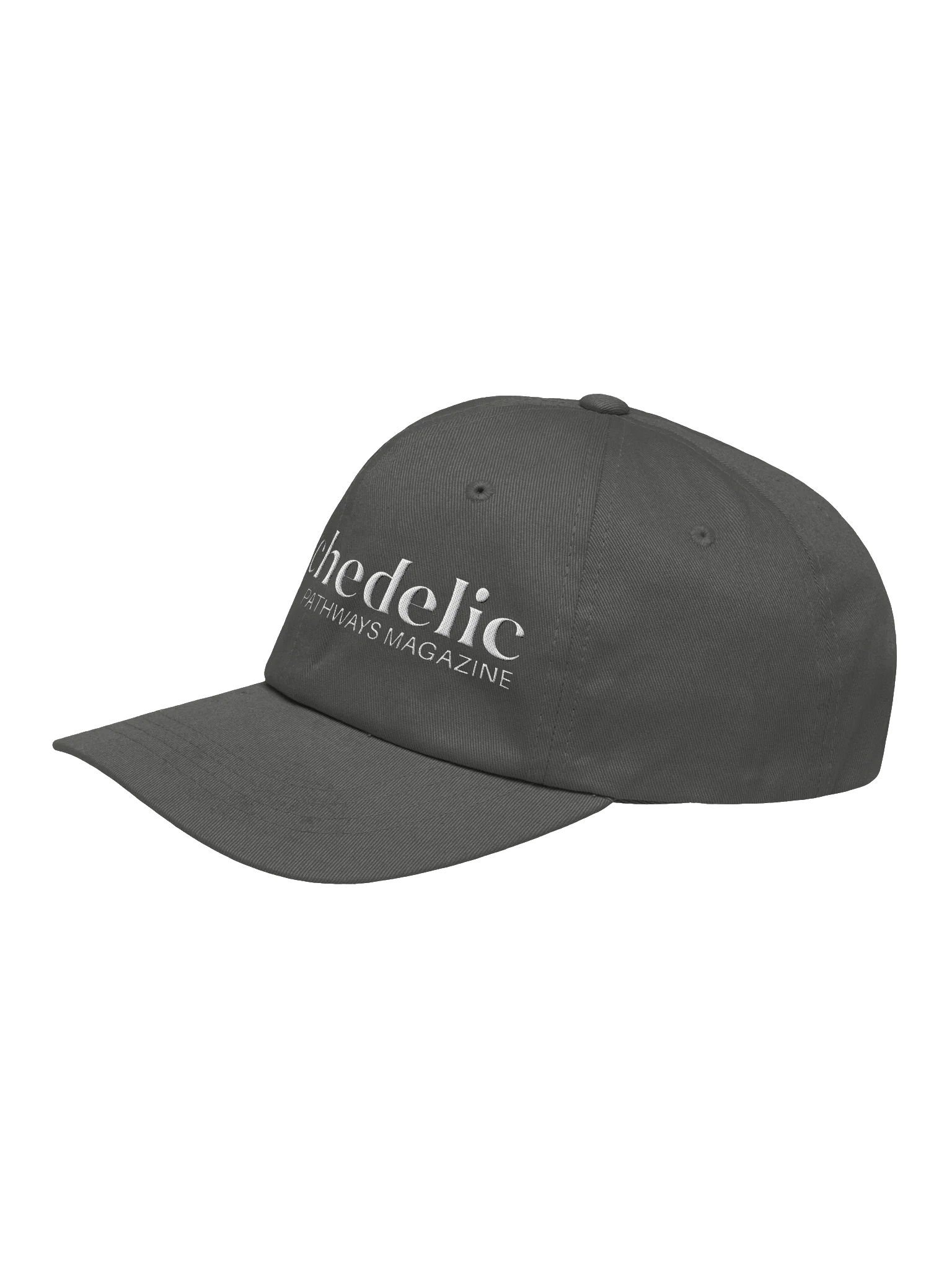 Psychedelic Pathways Logo Cap product image (8)
